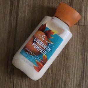 Sweet cinnamon pumpkin